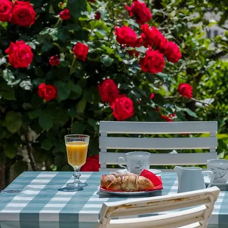 Studio-apartment Mit Gartenterrasse Lägenhet Štikovica